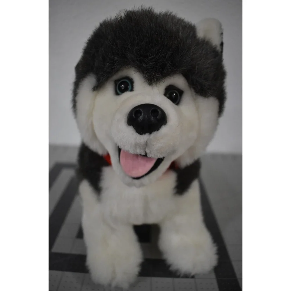 Husky Dog Canada Plush Stuffed Souvenir Tag‎ Sitting Animal House 10.5 Blue eyes